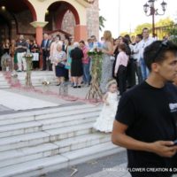 Στολισμός γάμου με θαλασσόξυλα,Διακόσμηση γάμου με θαλασσόξυλα τιμές