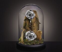 Alternative view of τριανταφυλλο που διαρκει για παντα - τριαντάφυλλο που ζει για πάντα