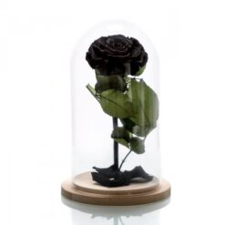 Τριανταφυλλα που ζουν για παντα skroutz, τριανταφυλλο που διαρκει για παντα, τριανταφυλλο σε γυαλα τιμη