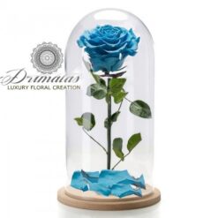 Forever Roses σε Θόλο. Τριαντάφυλλα για πάντα. Beauty and the Beast. Τριαντάφυλλο που ζει για πάντα