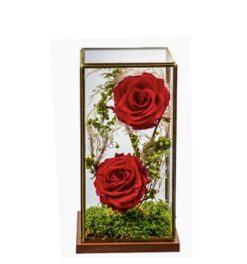 Forever Roses - Τριαντάφυλλα Που Διαρκούν Χρόνια